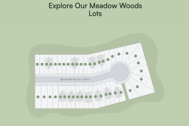 Meadow Woods