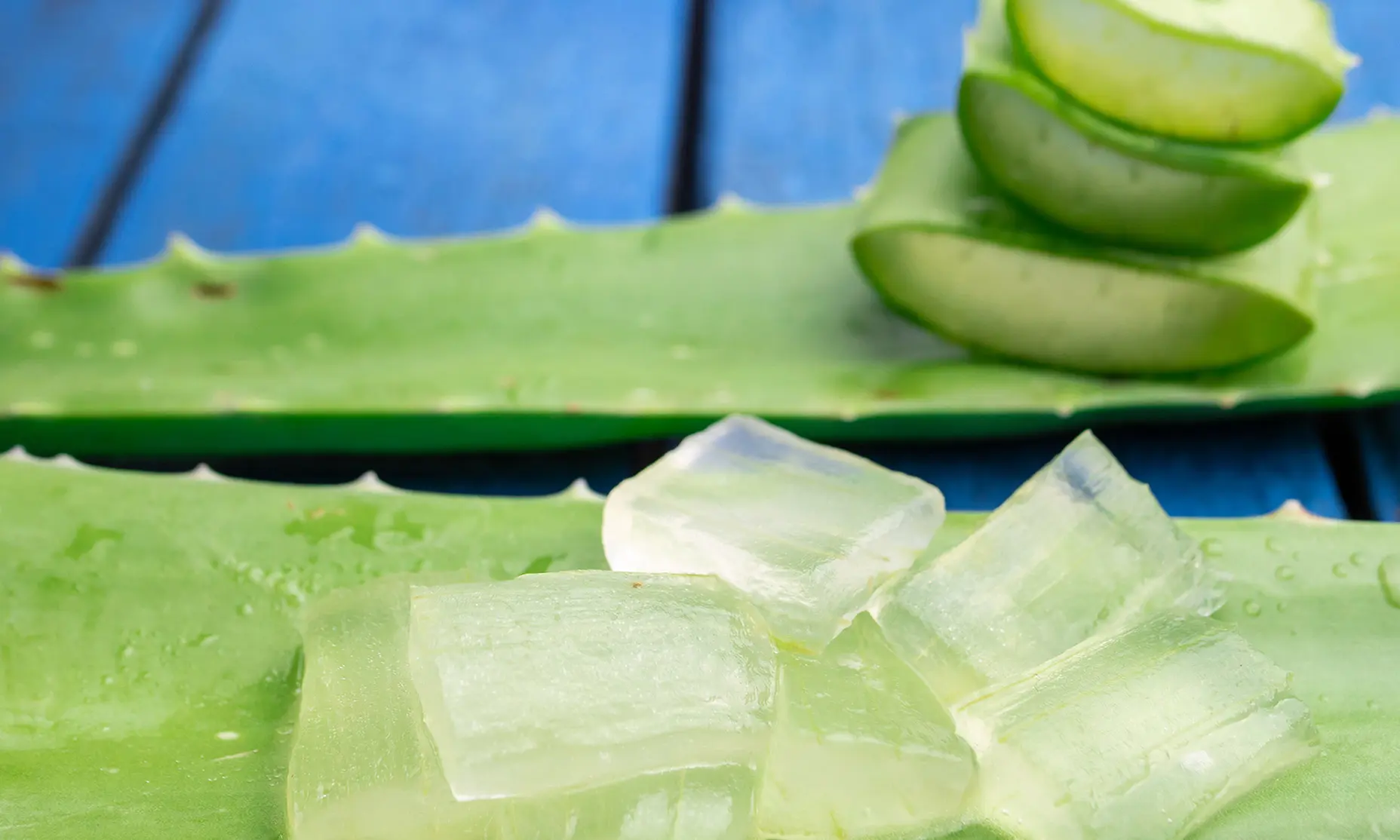 A fresh piece of Aloe Vera leaf with small pieces cut out, revealing the gel inside.