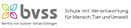 Logo Schule BVSS