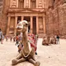 camel in front of the treasury, petra (square)