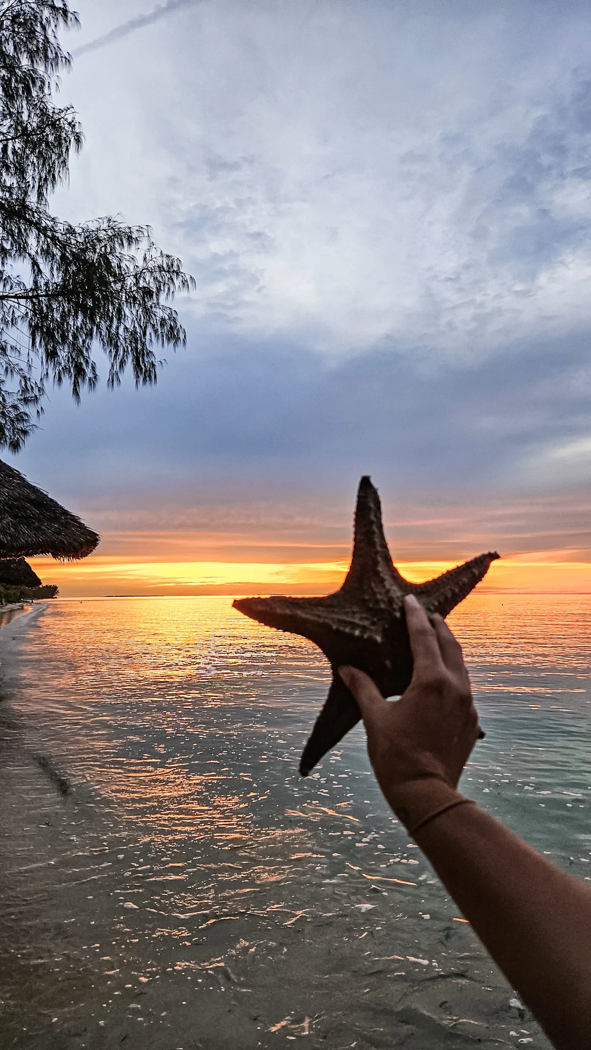 Sunsets on Tanzanian islands are unbeatable !