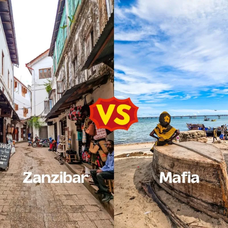 Zanzibar vs Mafia (square)