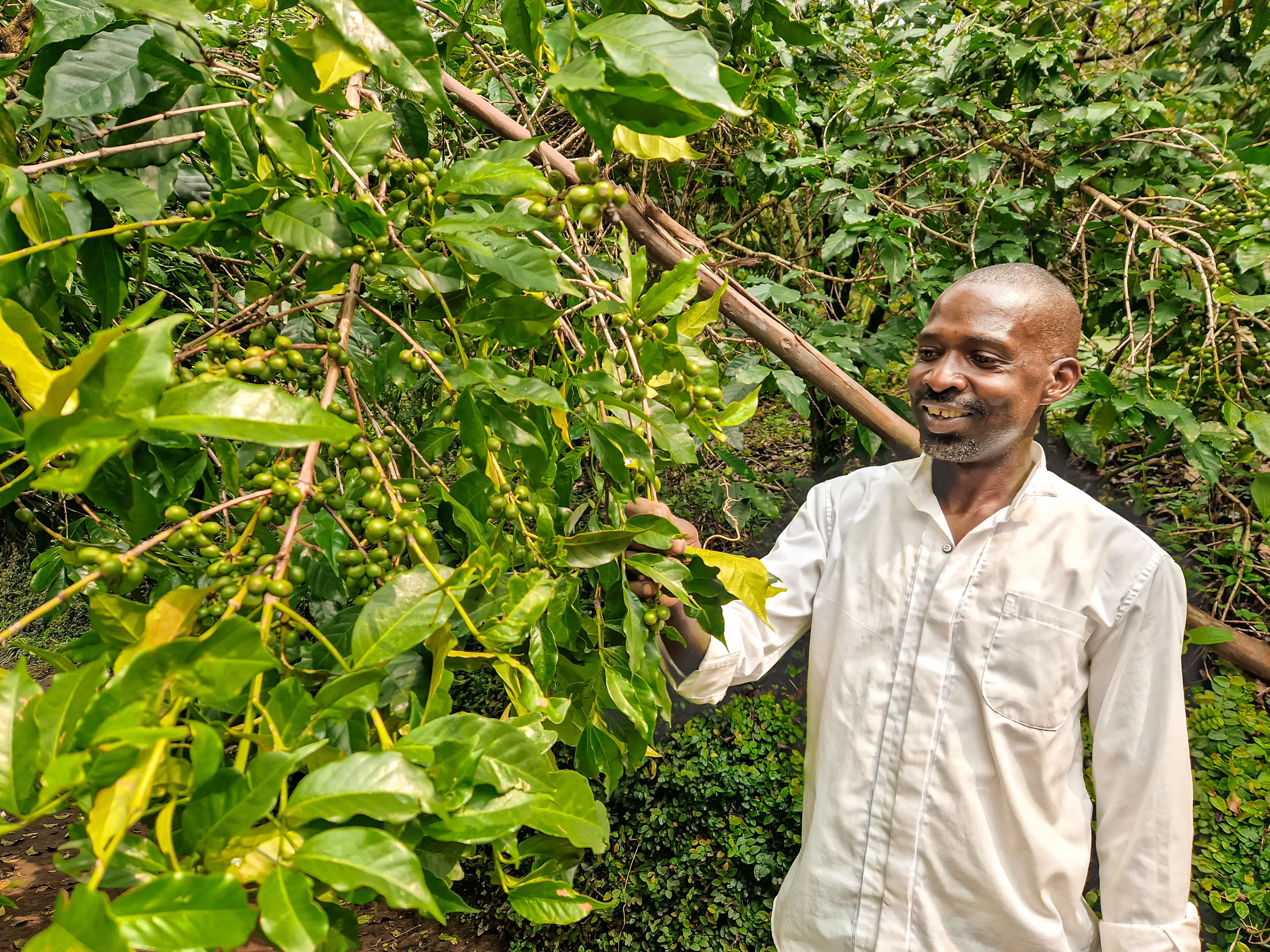 Ronald presenting the Coffee Experience at the farm