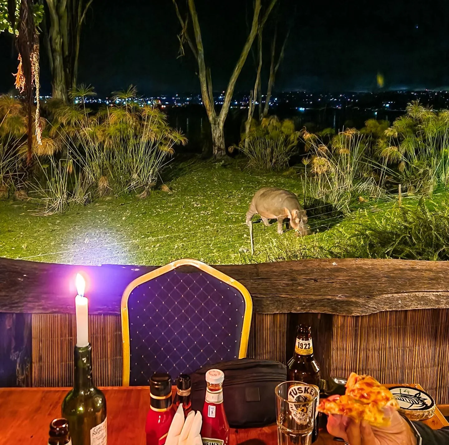 Dining with a view : hippos just outside the camp, Lake Naivasha