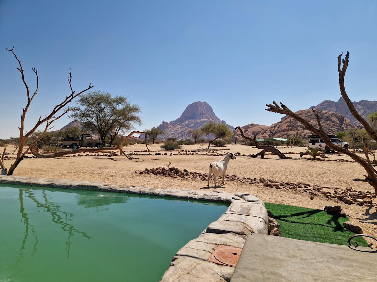 Highlight image from Lisa and Pol's Africa overland crossing