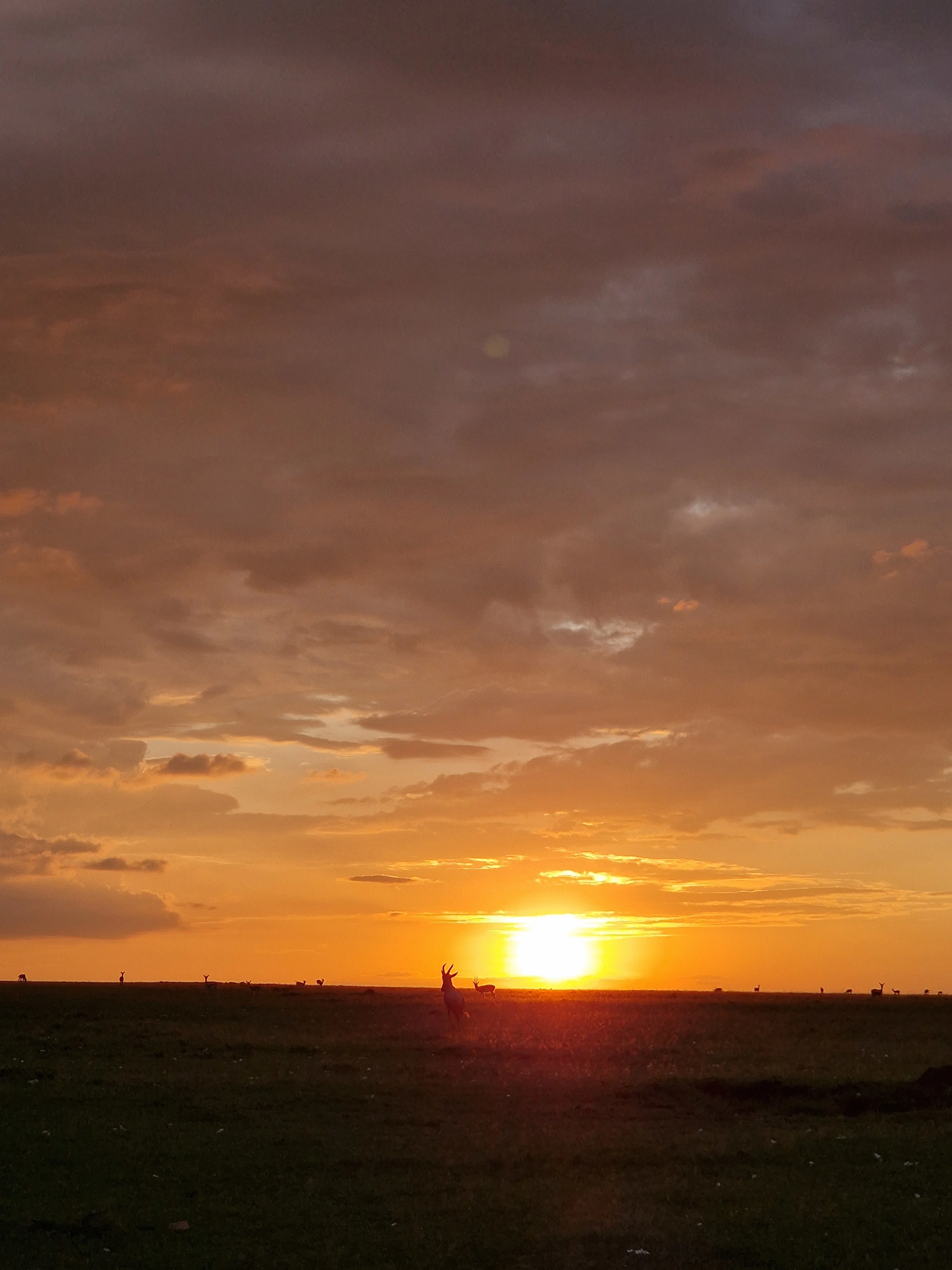 Sunset after a full day in Masai Mara