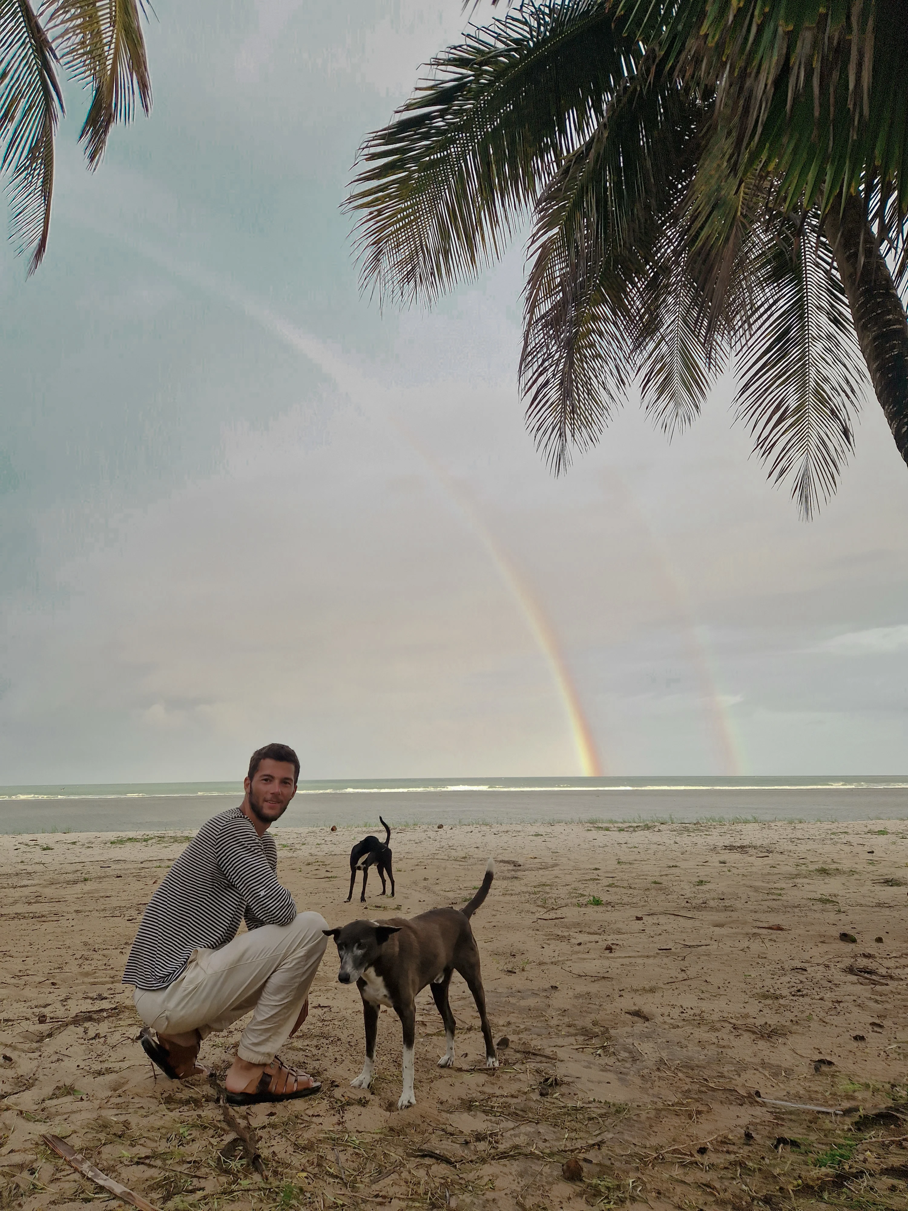 Pol, dogs and rainbows in Tiwi