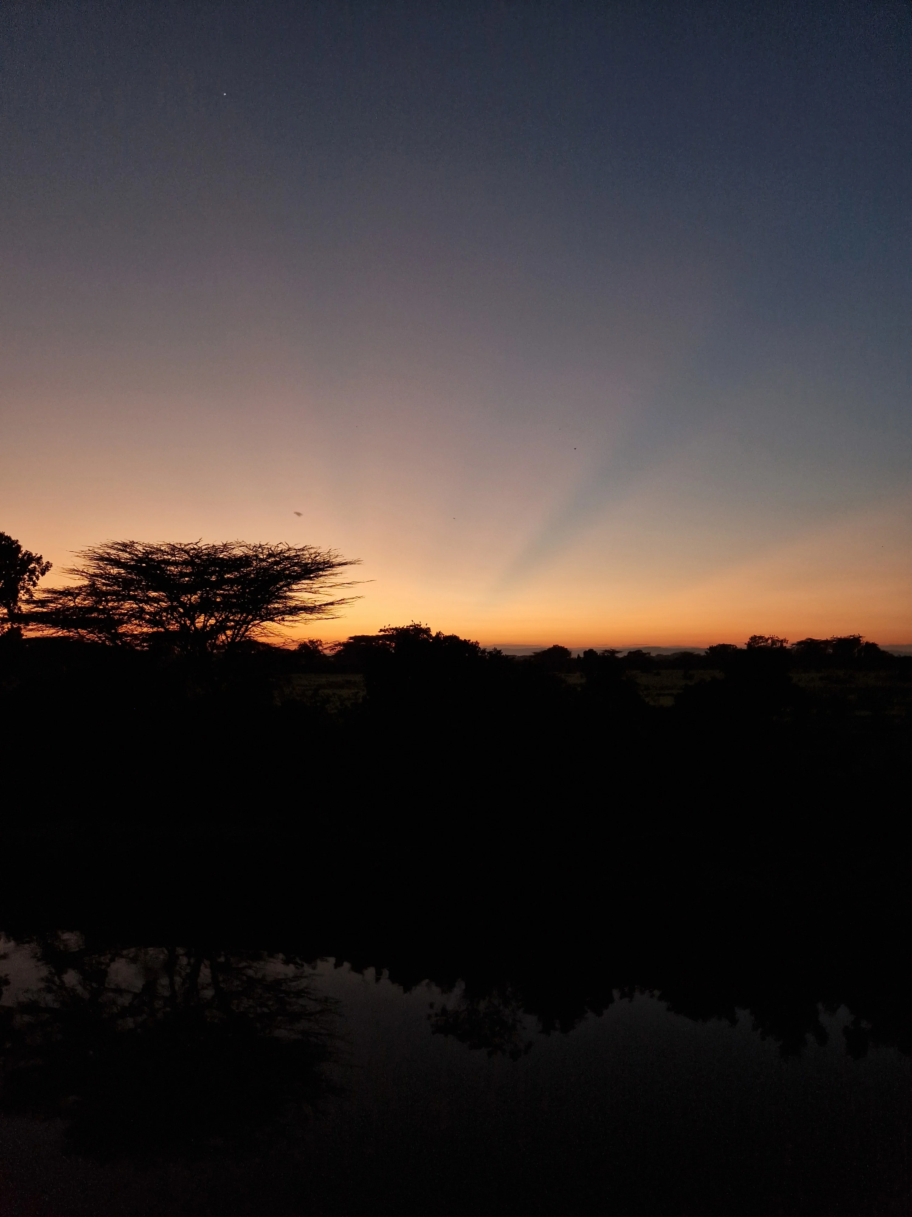 Sunrise at Crocodile Camp over Masai Mara