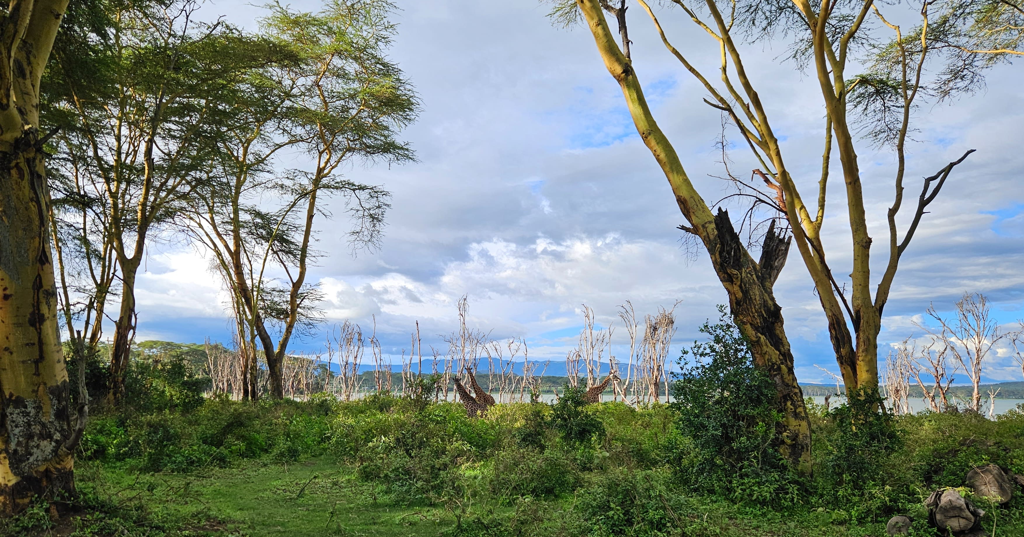 Cover Image for Lake Naivasha, Kenya - our tips for a weekend on a budget