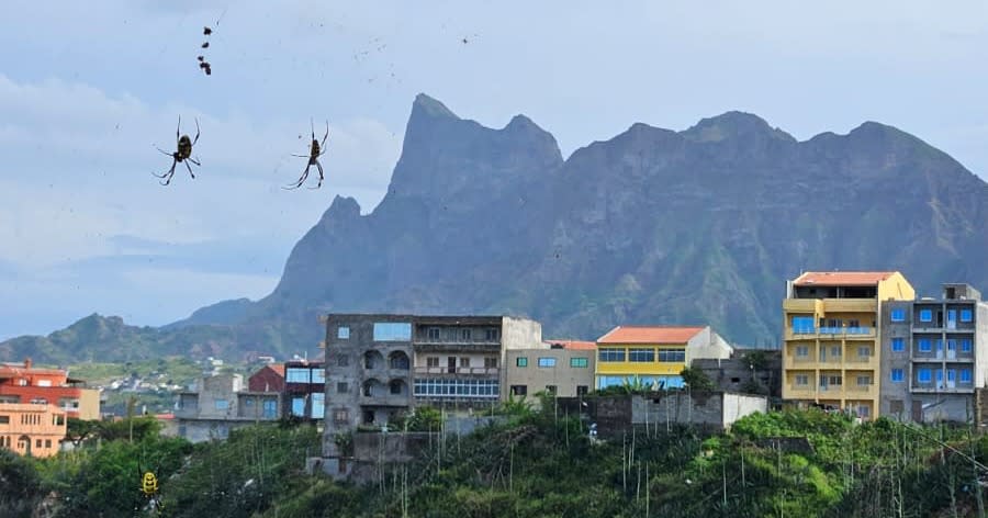Cover Image for One Week in Cape Verde: Santiago Island on a Budget