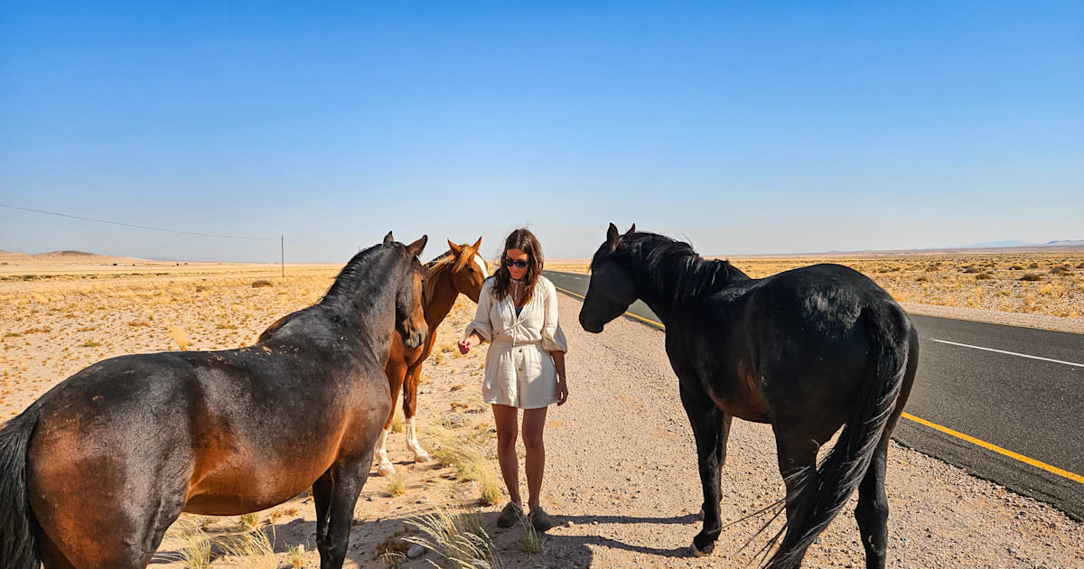 Cover Image for An ambitious 12-day roadtrip around Namibia