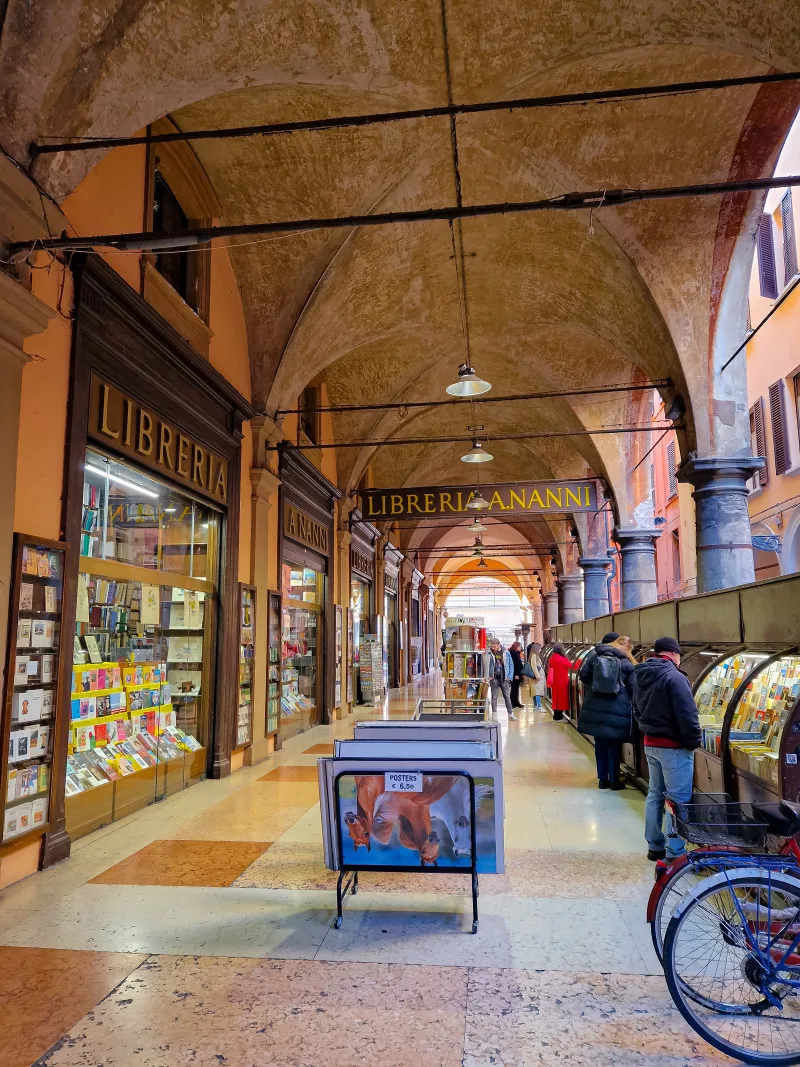 Bologna's famous porticoes