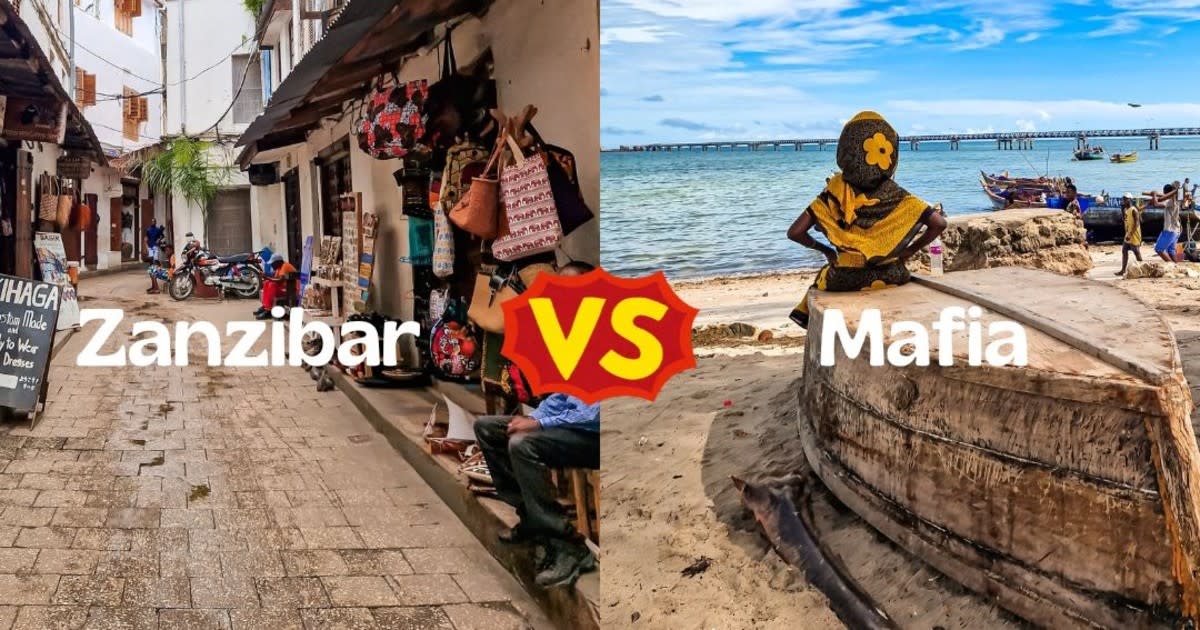 Cover Image for Which is better : Mafia or Zanzibar ?