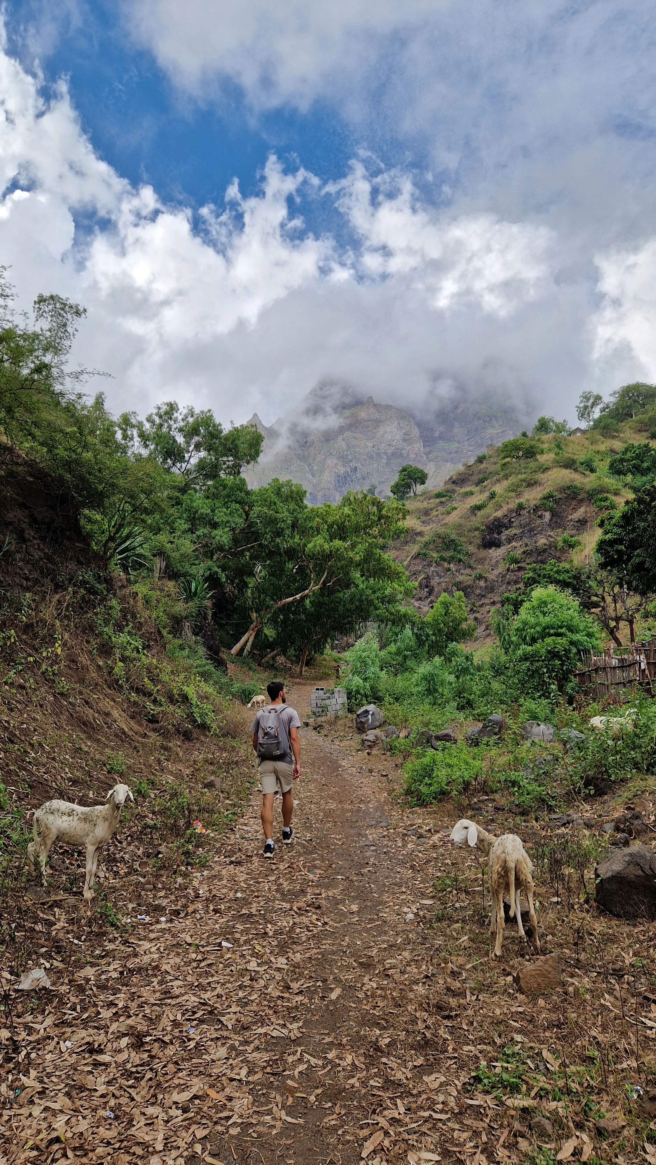 Hiking to the Pico d'Antonia