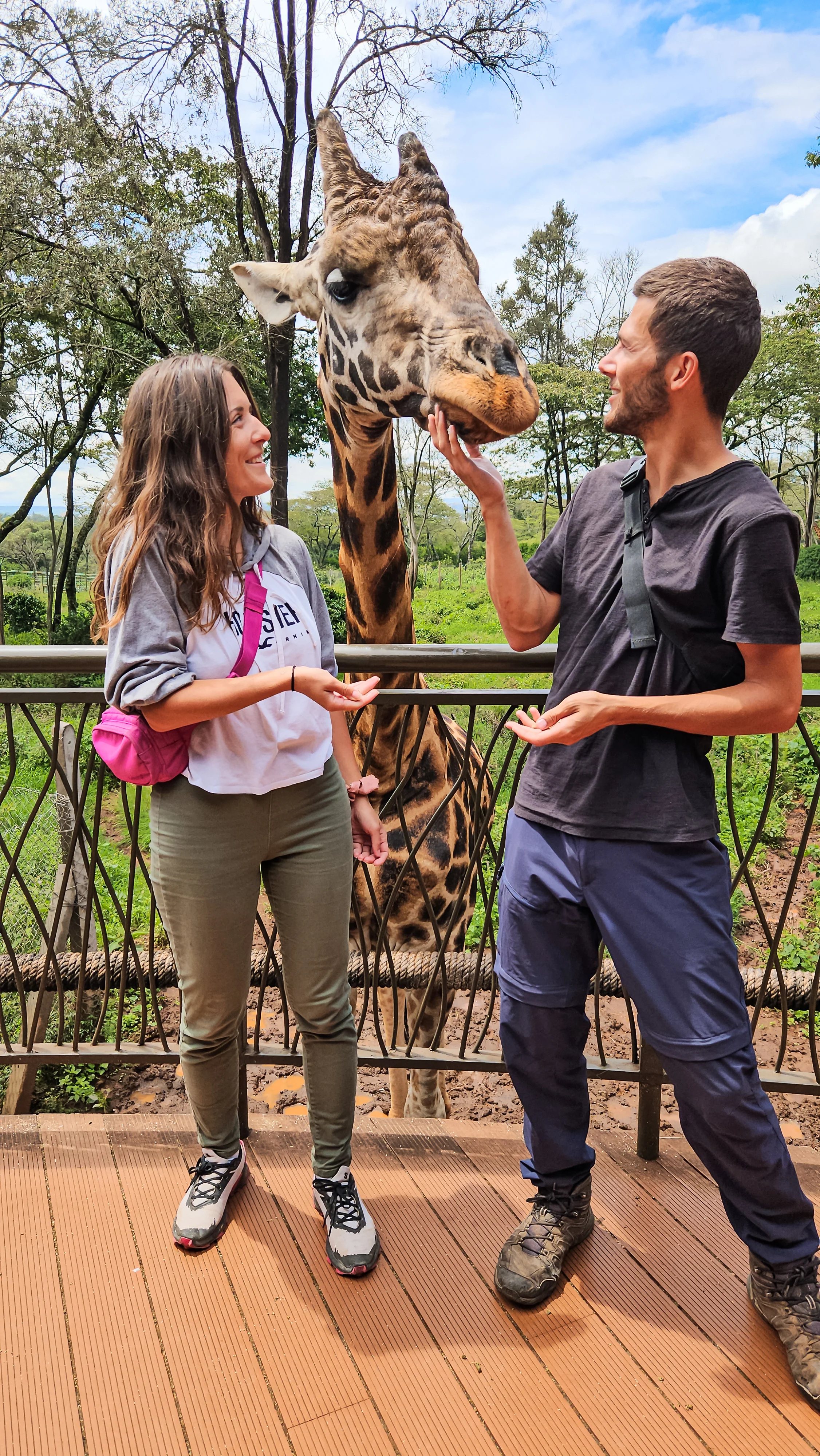 Giraffe Centre, happy times