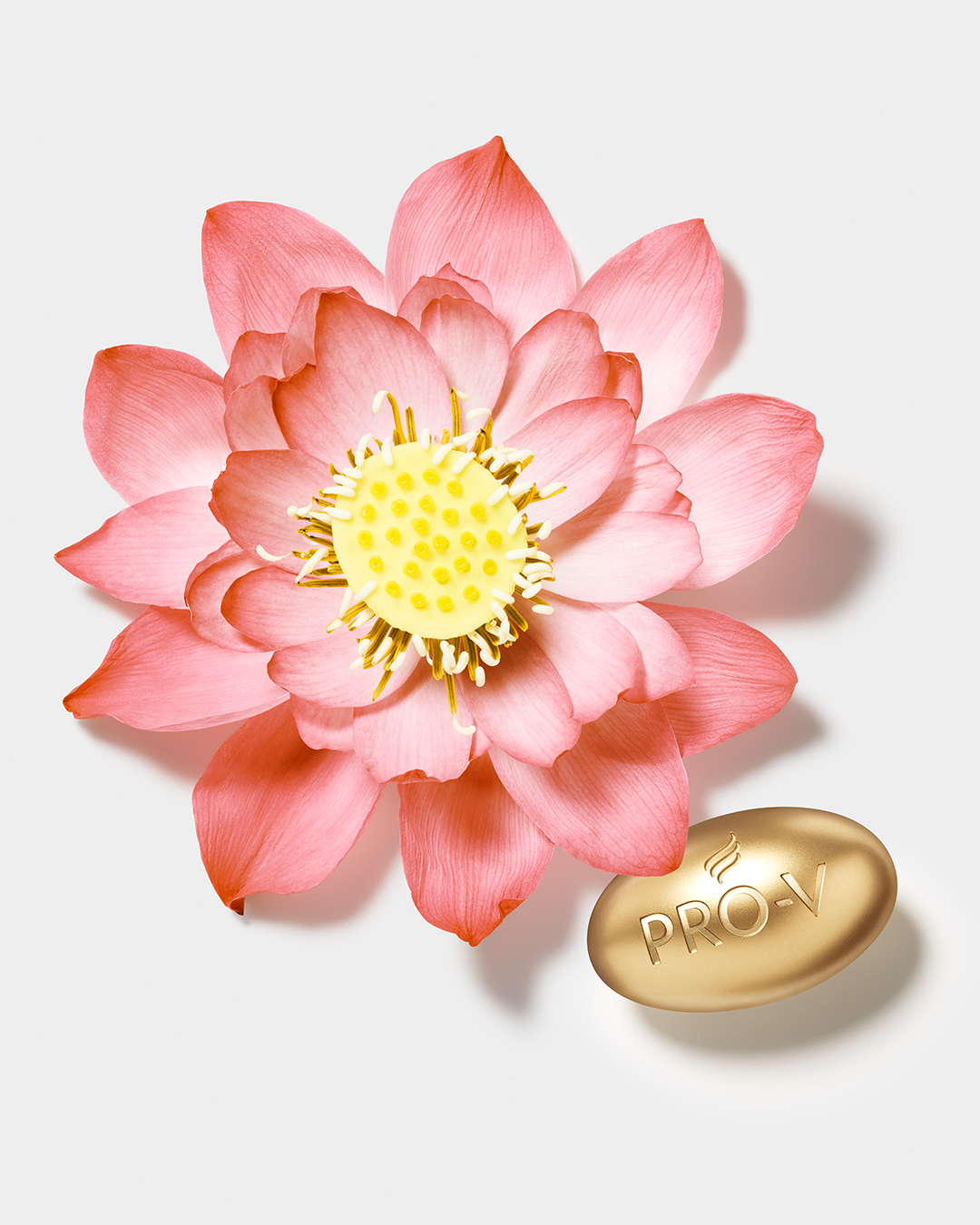 Lotus Flower - Pantene