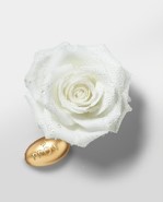 Rose water - Pantene