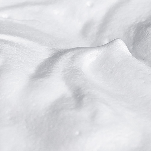 Purifying Ingredients - Pantene
