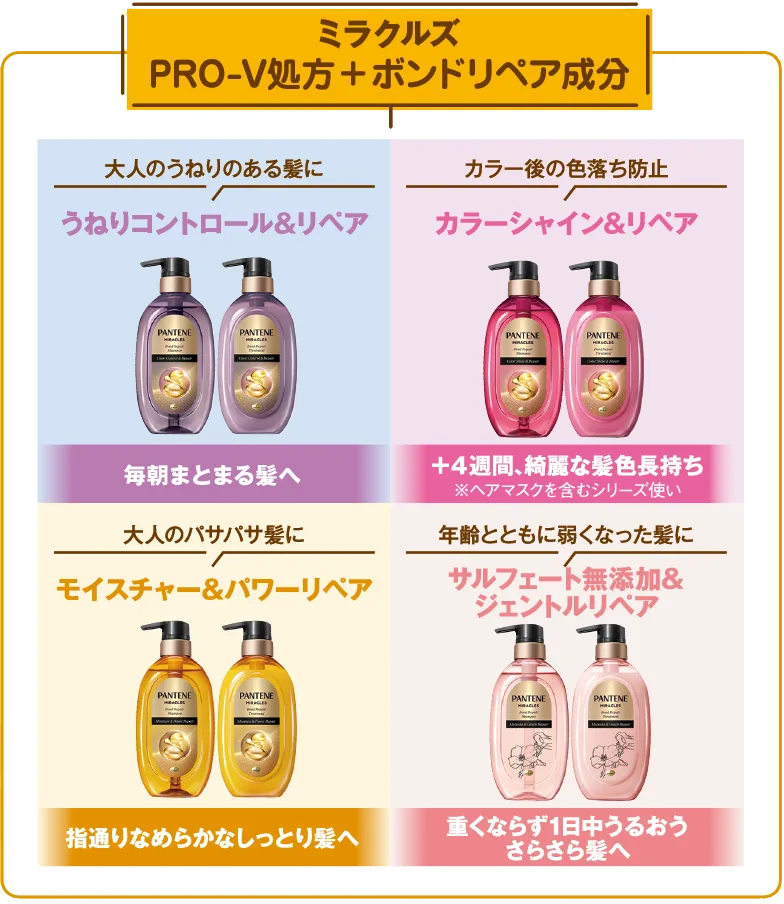 パンテーンミラクルズの4種のシャンプー&トリートメントの紹介マップ