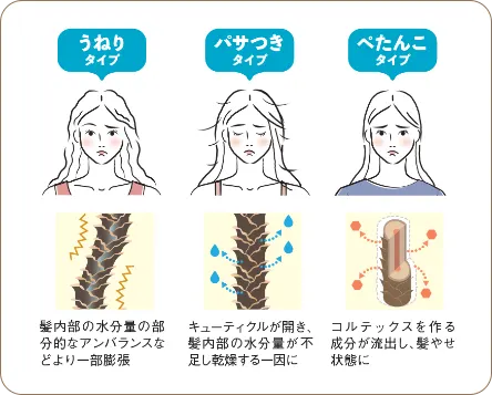 うねり、パサつき、ぺたんこの髪悩みのある女性と毛髪構造