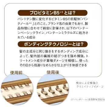 プロビタミンB5とボンドリペ成分の紹とボンドリペテクノロジーと成分により補強される髪内部の使用前後比較