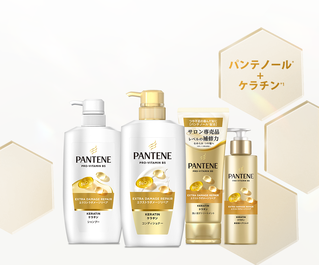 パンテーン ベーシックライン (PANTENE Basic line) 製品一覧