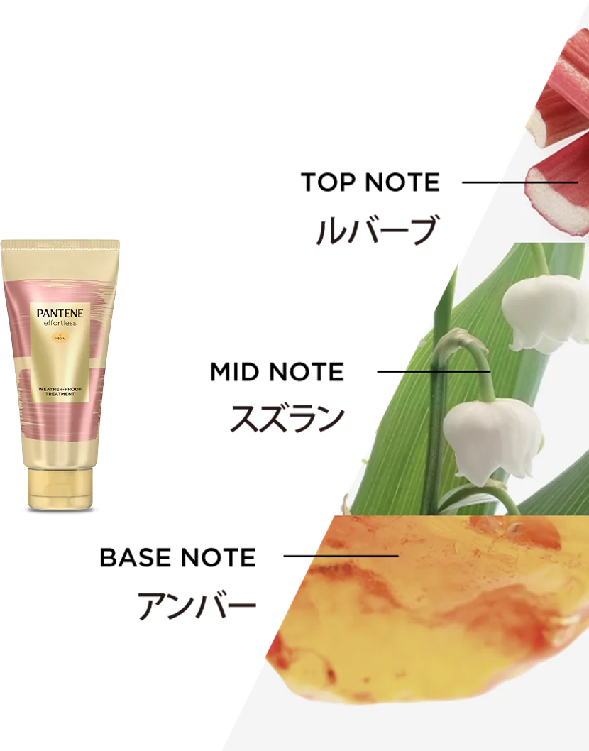 ウェザープルーフトリートメント