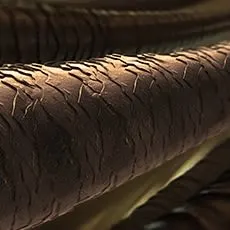 Anatomy Of Human Hair-Blog