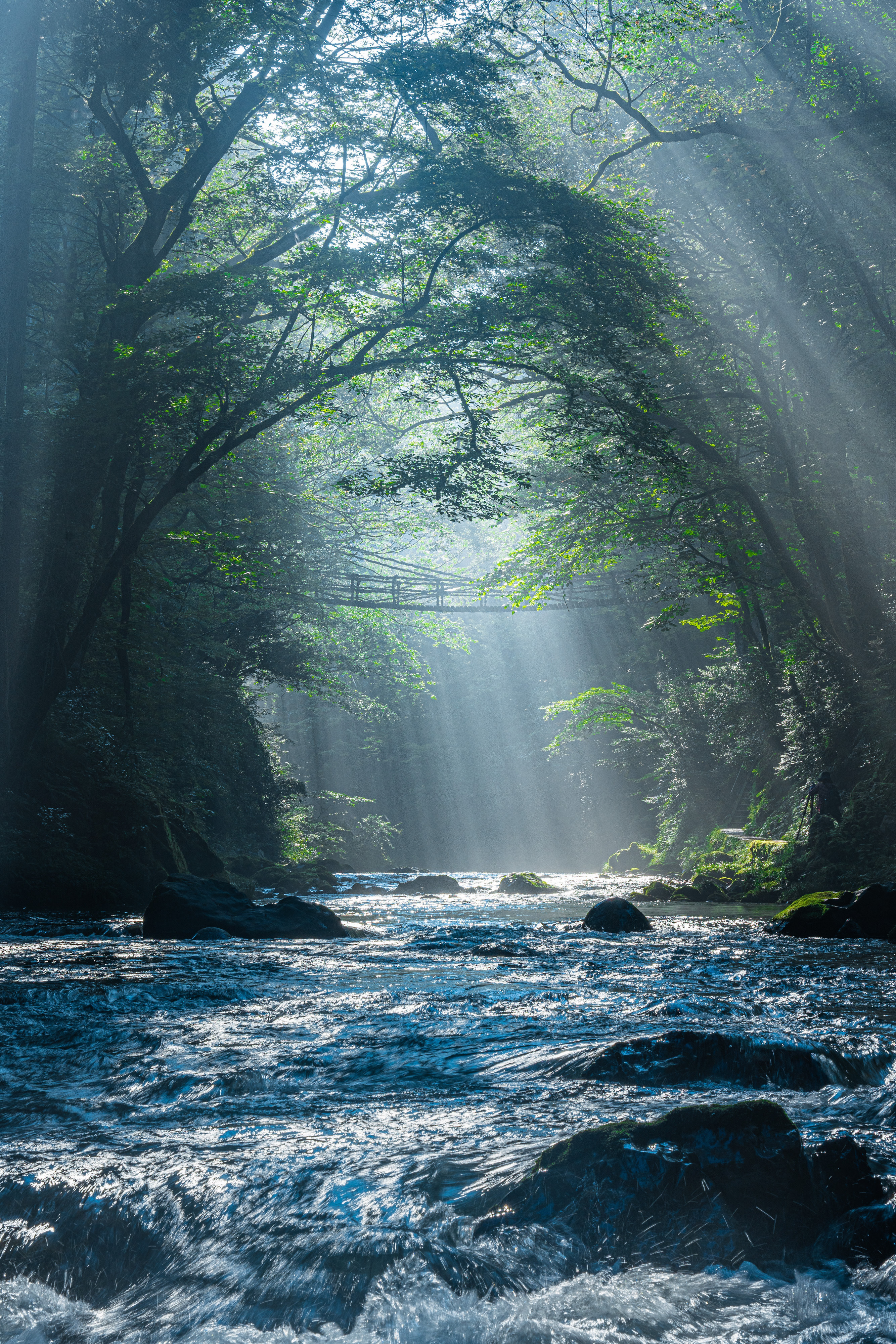 Bountiful Nature in Ikeda