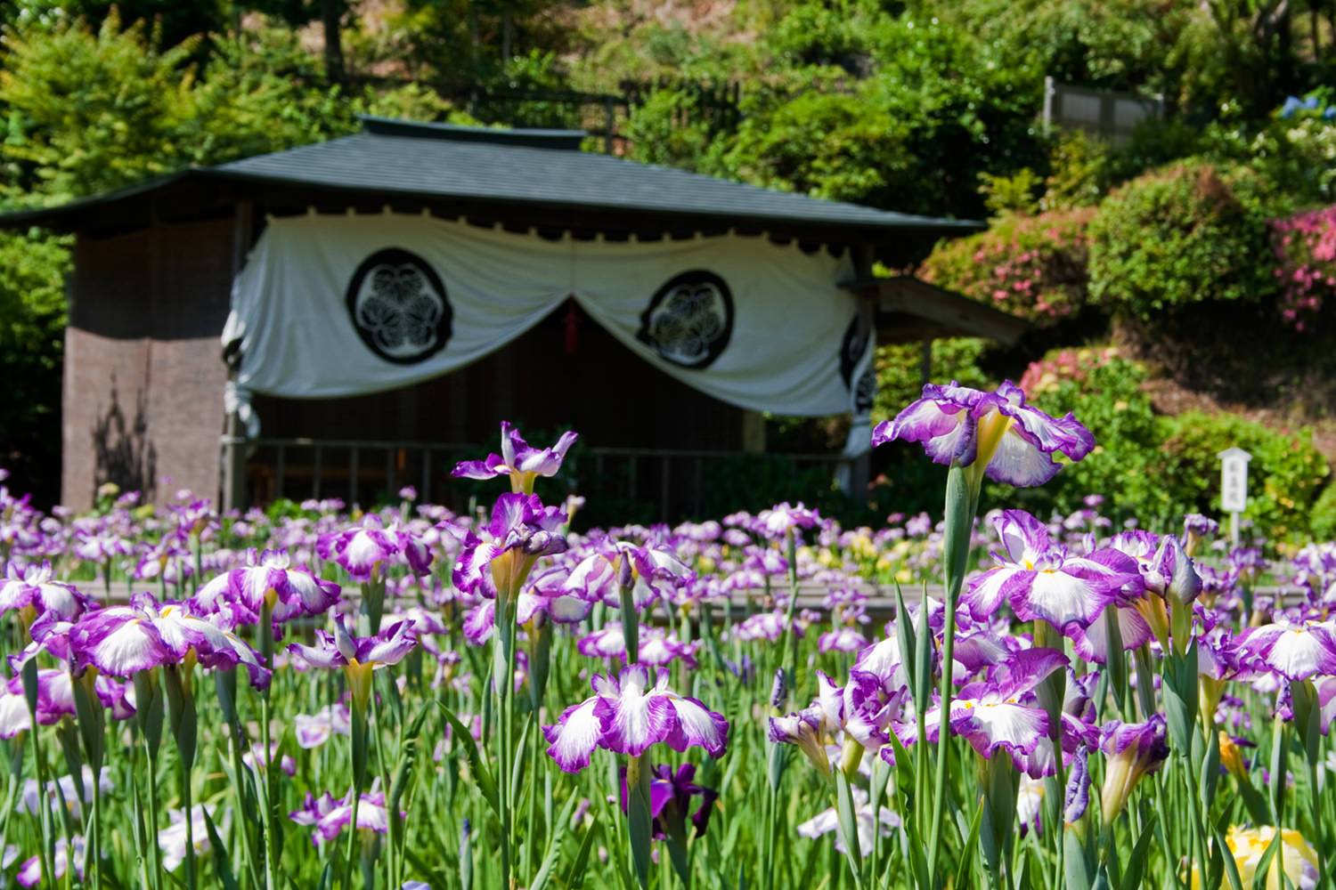 Daianzenji Temple