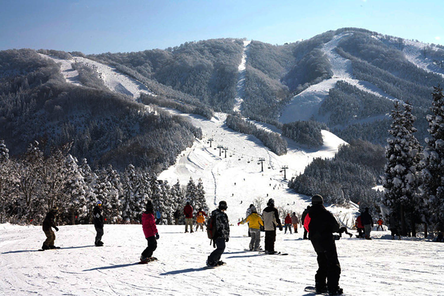 胜山滑雪场（SKIJAM）