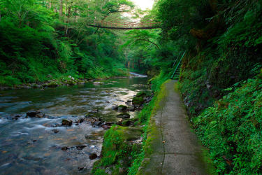 森林與河川散步道