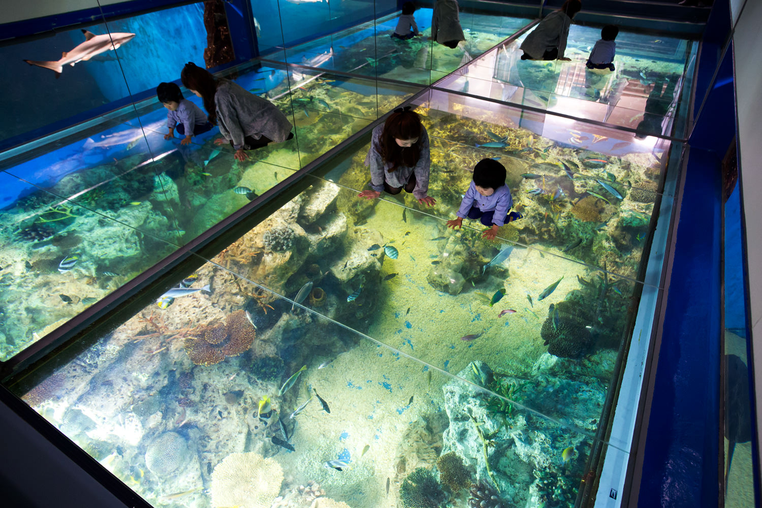 Echizen Matsushima Aquarium