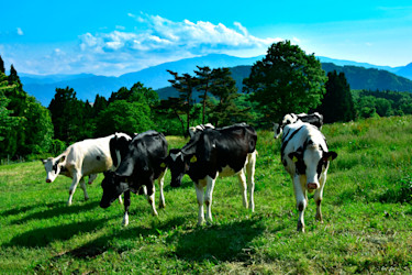 Rokuroshi Plateau