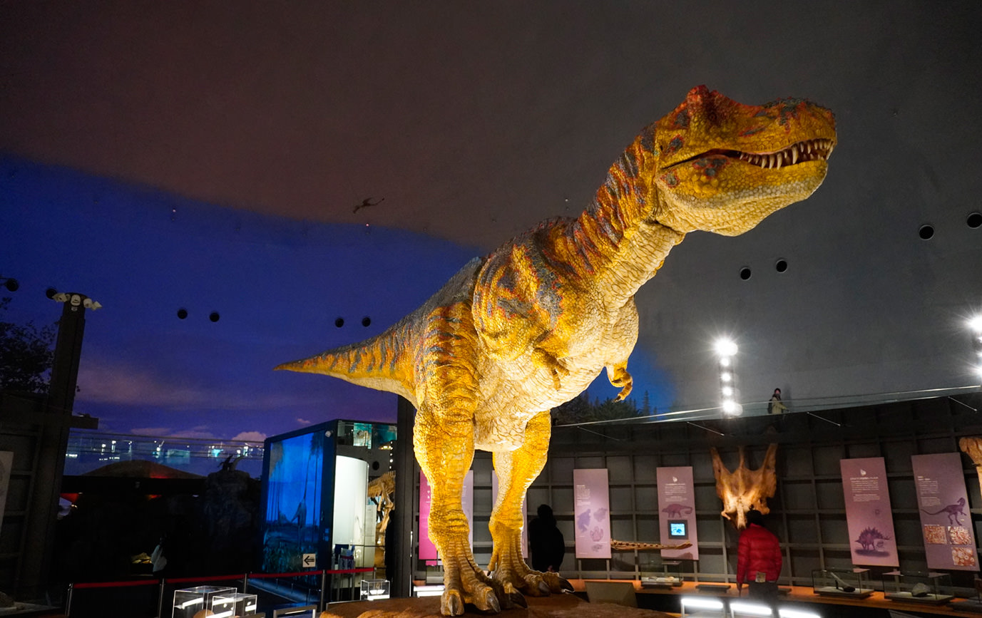 A World-Class Dinosaur Museum