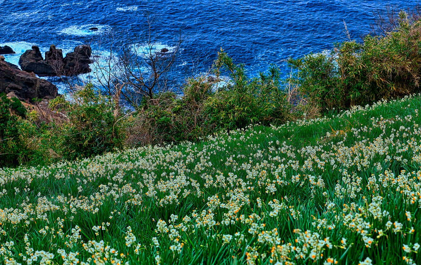 Coastlines Known for Seafood and Scenery