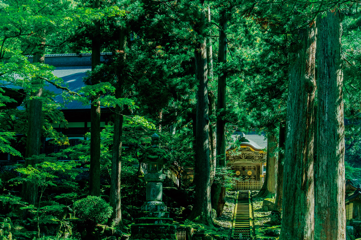 重振身心：福井的古寺和神社