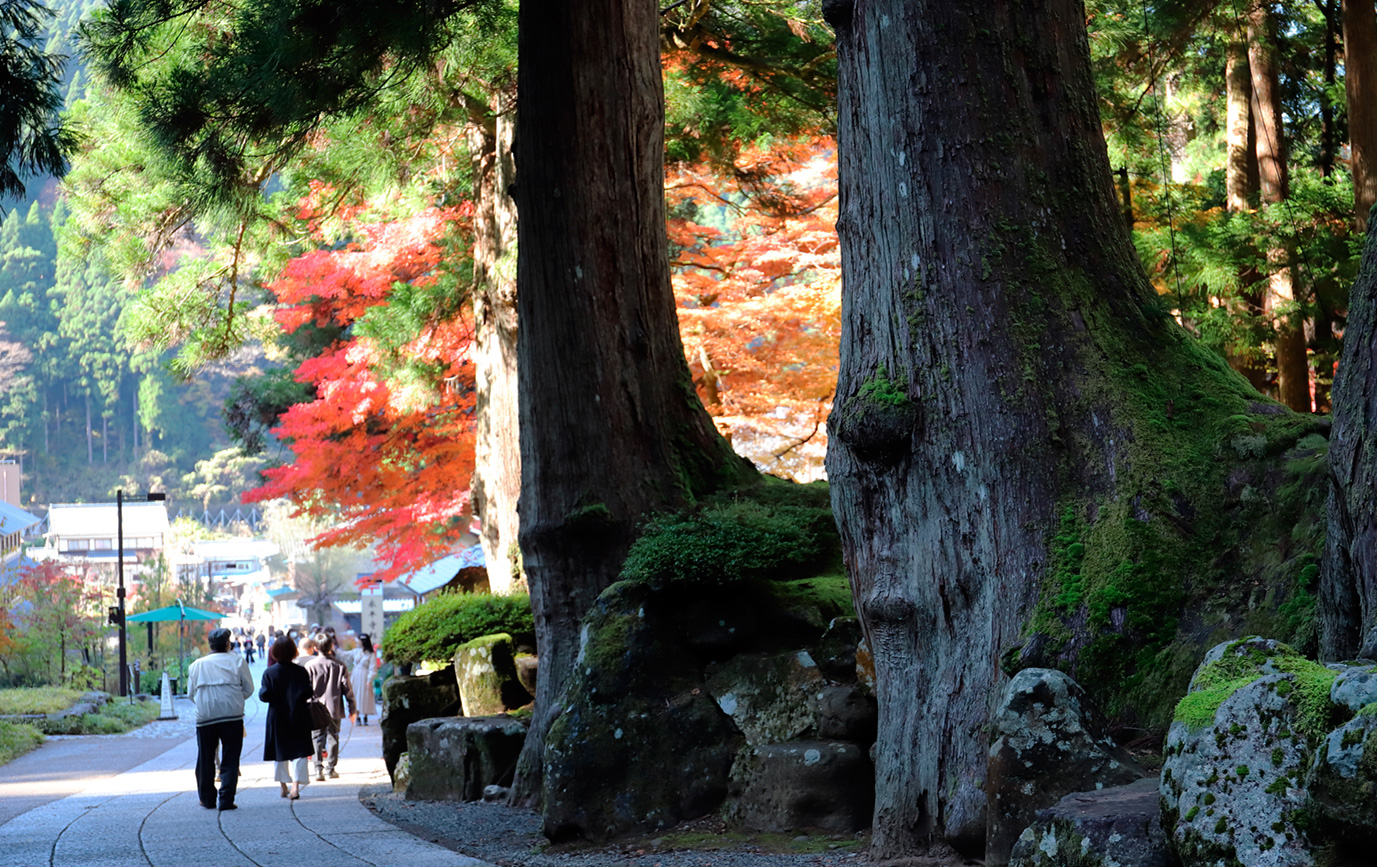 山中古寺