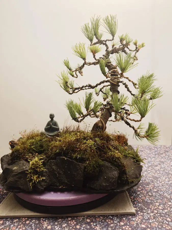 Japanes Pine Negishi