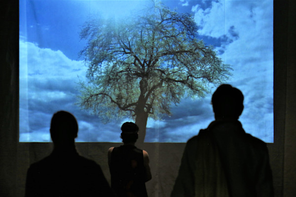 Herakles begräbt seine Keule. Aus ihr wächst ein Olivenbaum.