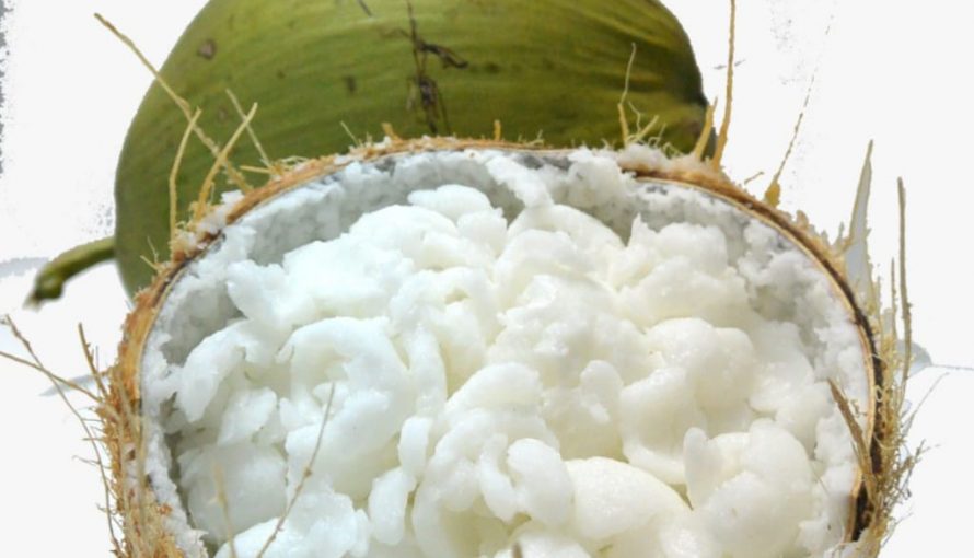 Coconut Kopyor
