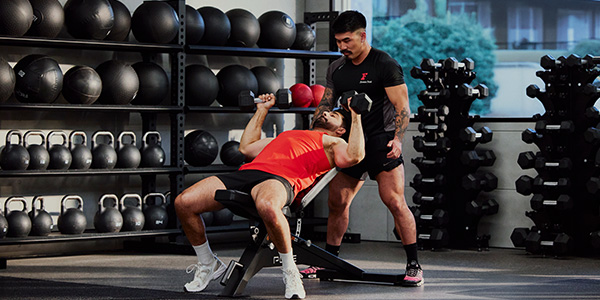 Terms and Conditions | Fitness First Australia