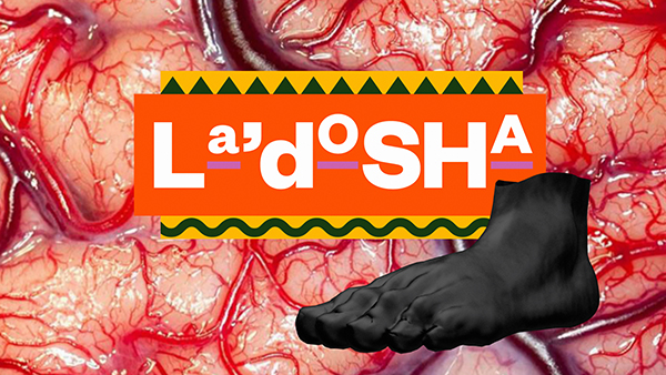 House of LaDosha Screens Series New Museum Now