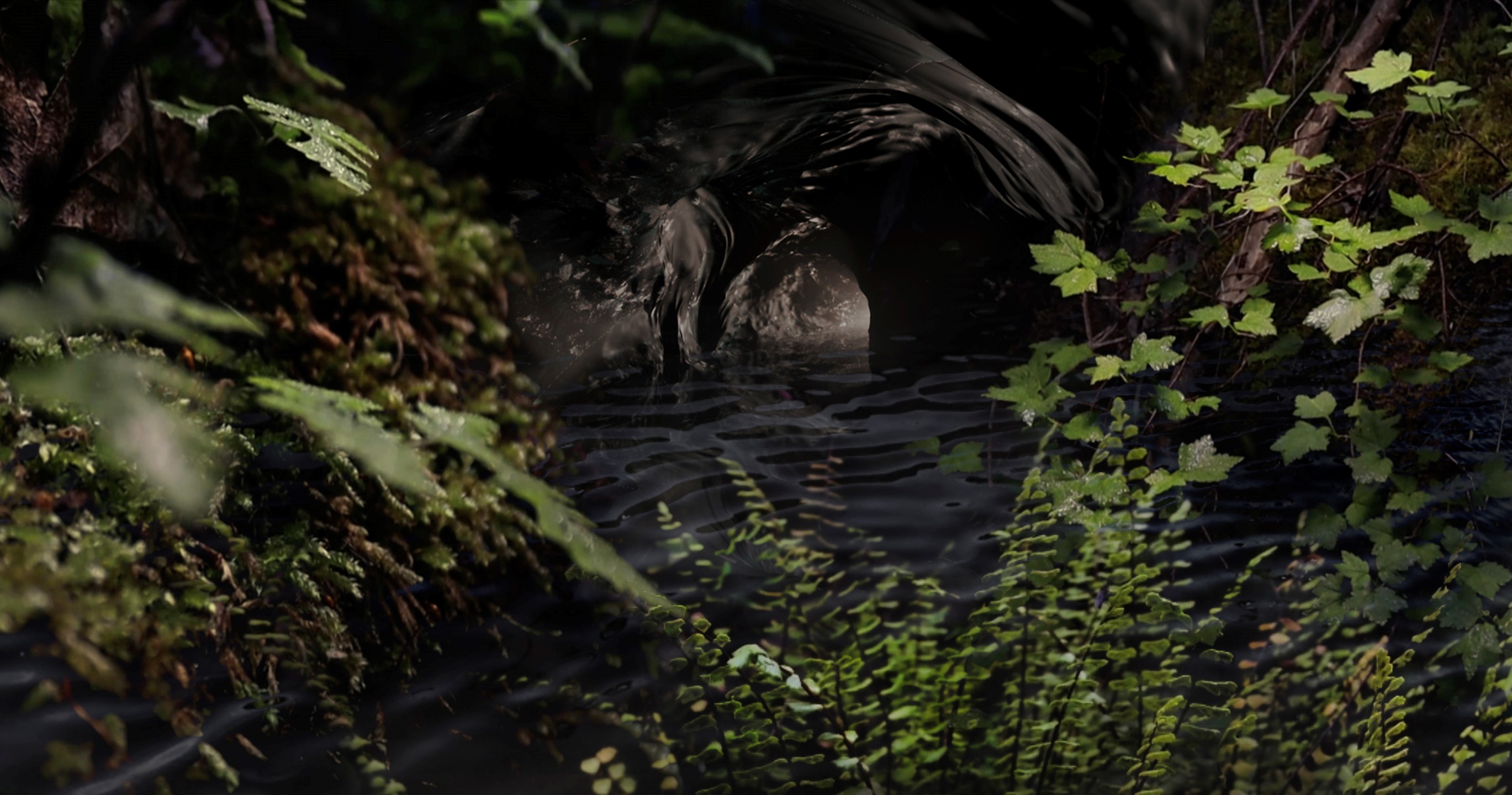swamp.jpg