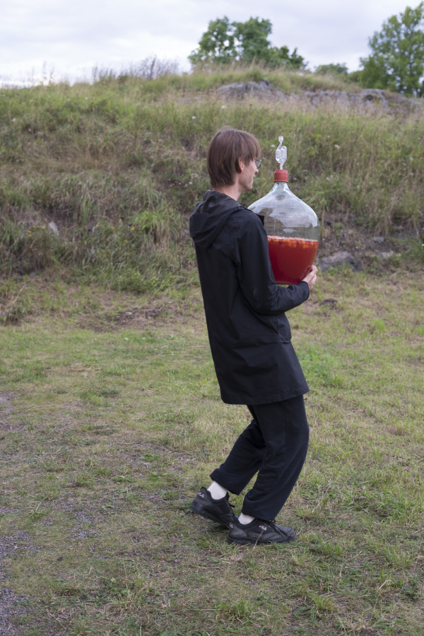 Bebetton - Experimental home winemaking.jpg
