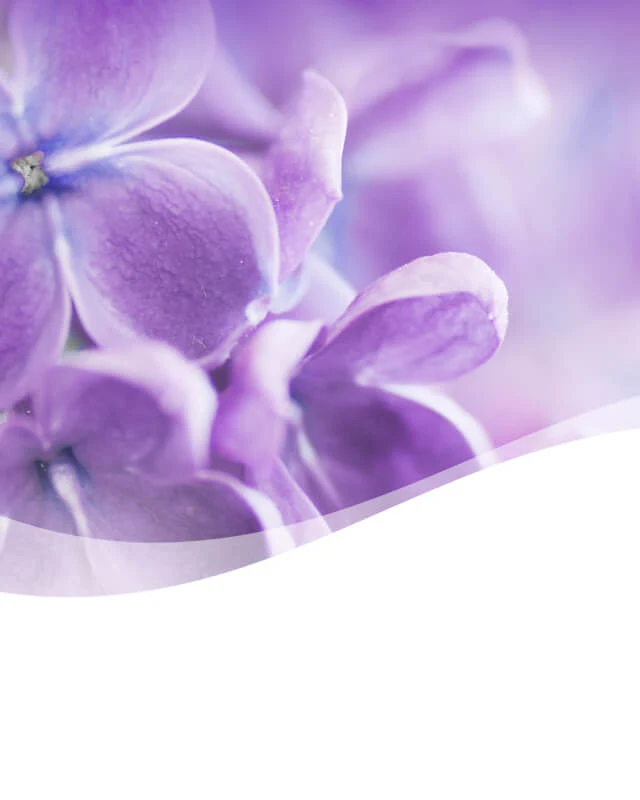 SP PDP Header Spring-Lilac