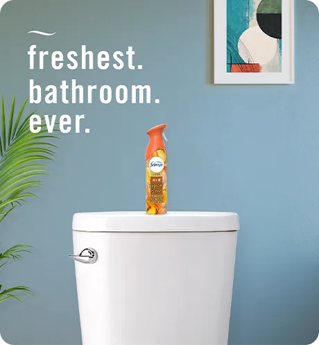 Tropical Blend Air Mist | Febreze AIR