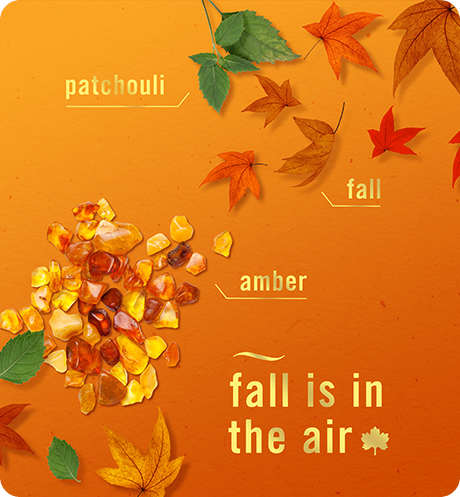 Crisp Fall Breeze. Fall is in the air. patchouli, fall, amber.