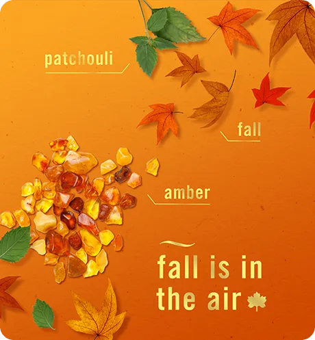 Crisp Fall Breeze. Fall is in the air. patchouli, fall, amber.