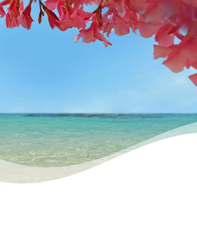 mGainIslandFresh-FR mGainIslandFresh-FR